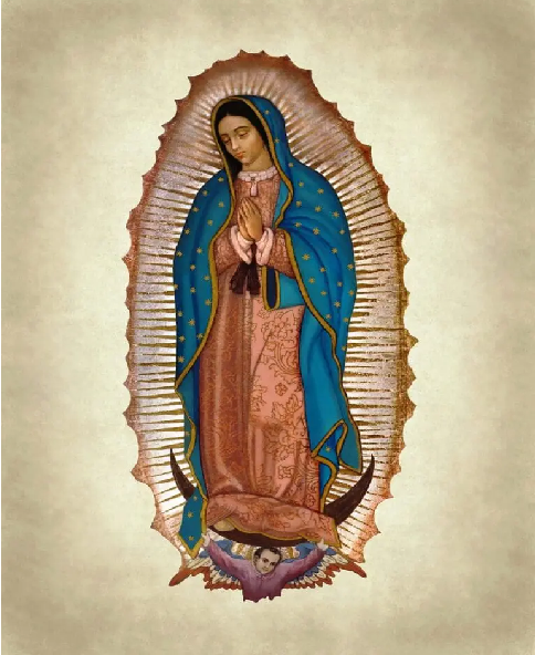 señora de guadalupe