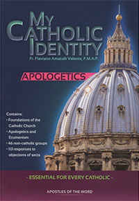 My Catholic Identity