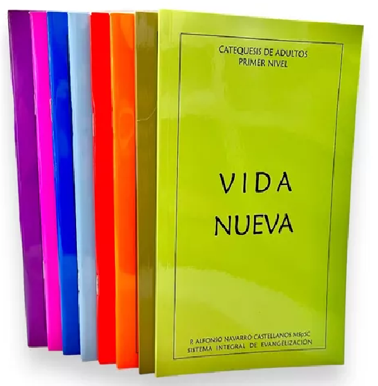 VIDA NUEVA.