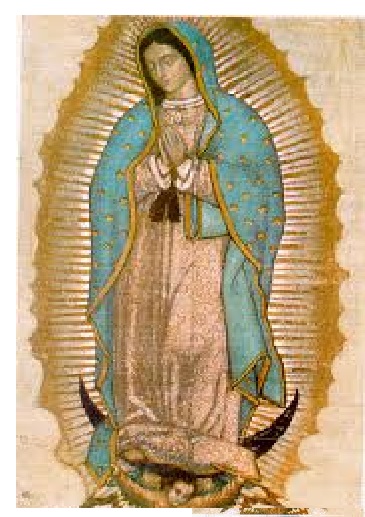 novena nuestra sra